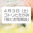 4月3日『『 コトリとたがみ​「桜とお写真会」』』